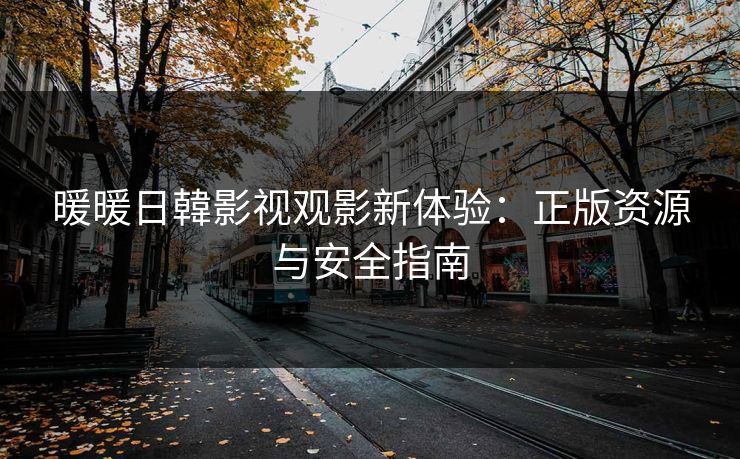 暖暖日韓影视观影新体验：正版资源与安全指南